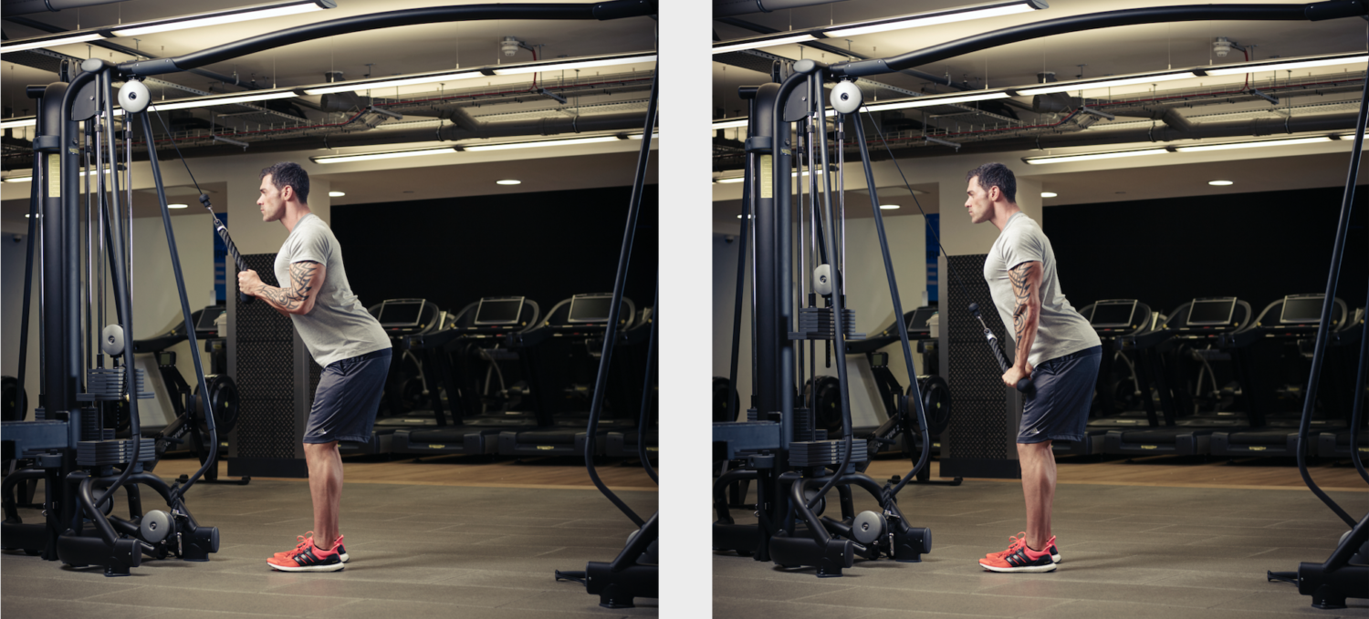 How to do the rope pressdown to build big arms