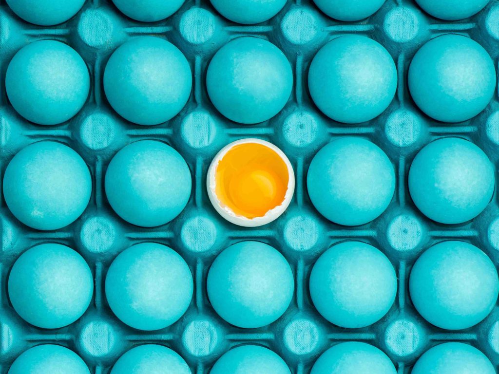 Eat eggs to for fat loss muscle and brain health