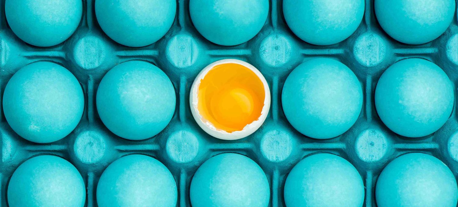 Eat eggs to for fat loss muscle and brain health