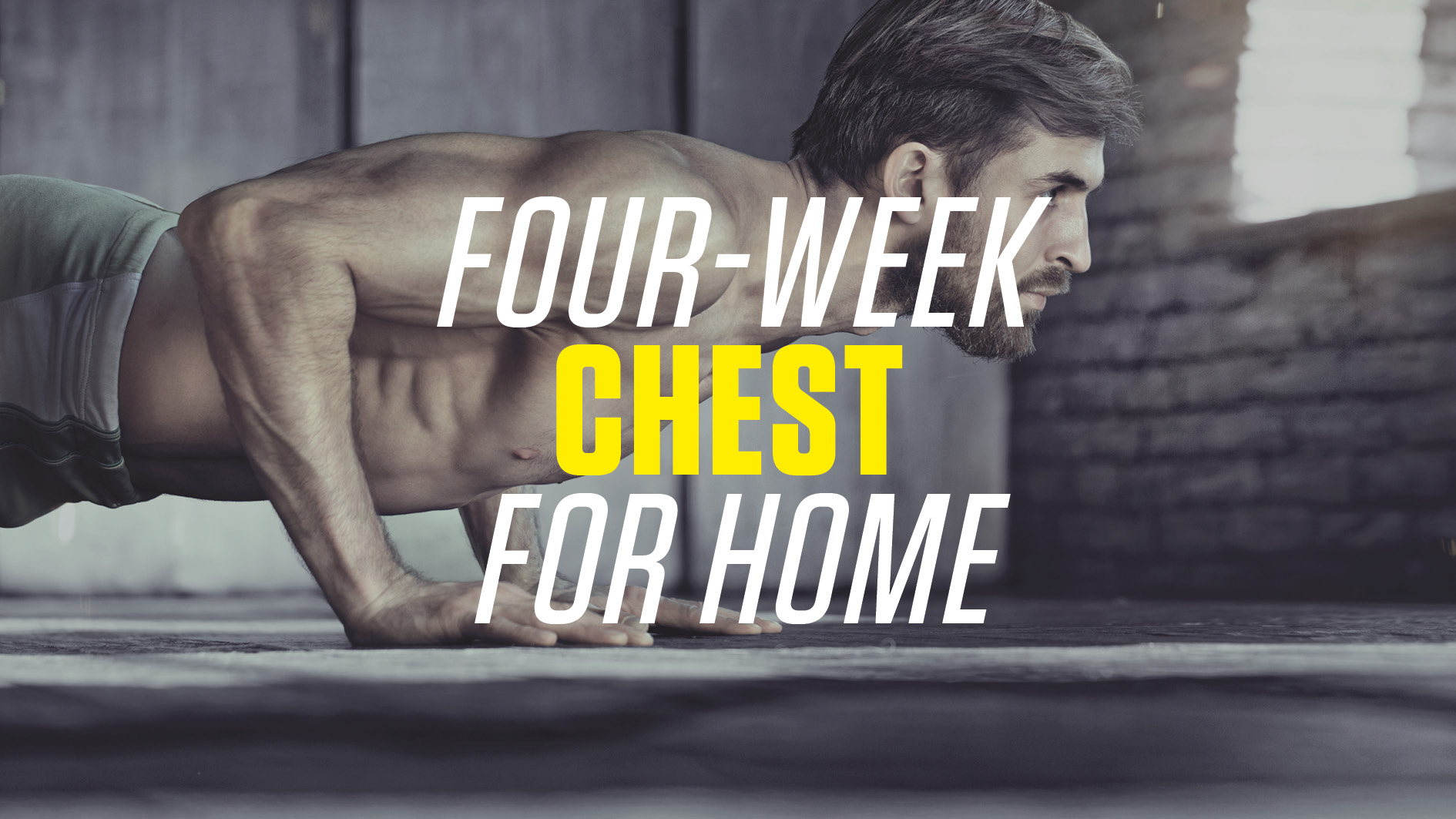 Club New Body Plan: Your Exclusive Training Programs