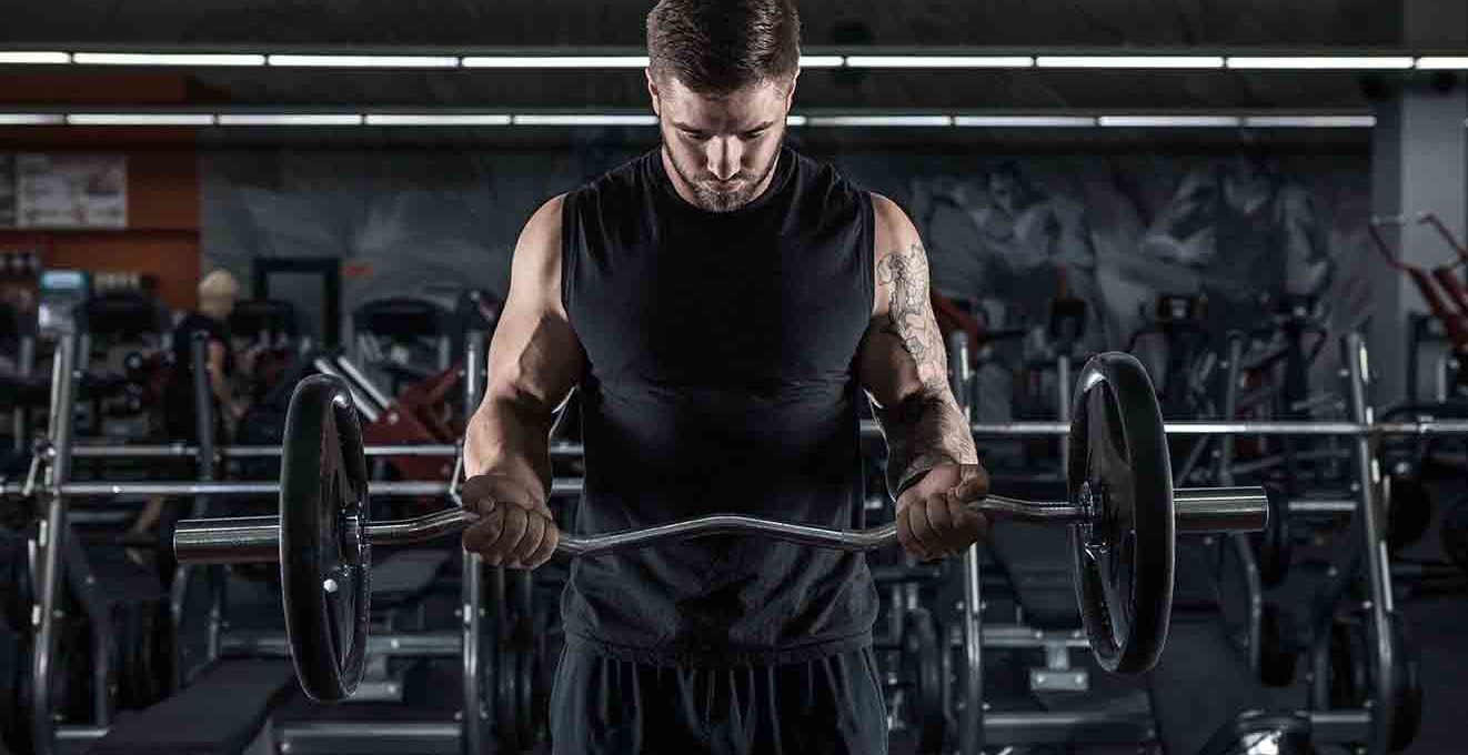 Best workout 2025 for big arms