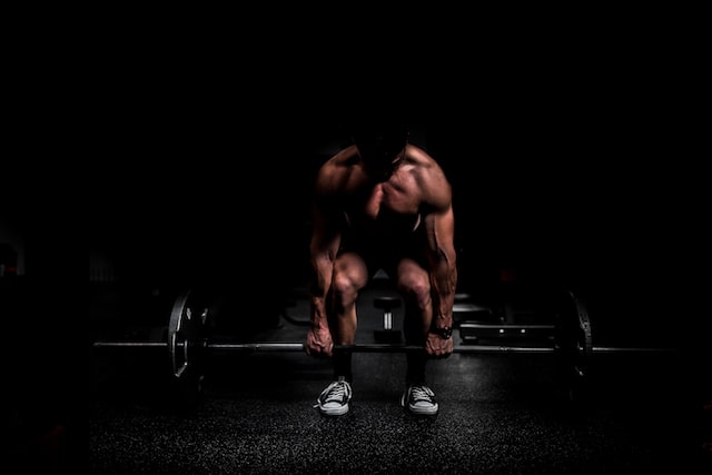 Hammer strength trap bar deals