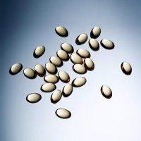 Best-supplements-for-fat-loss Best-supplements-for-fat-loss